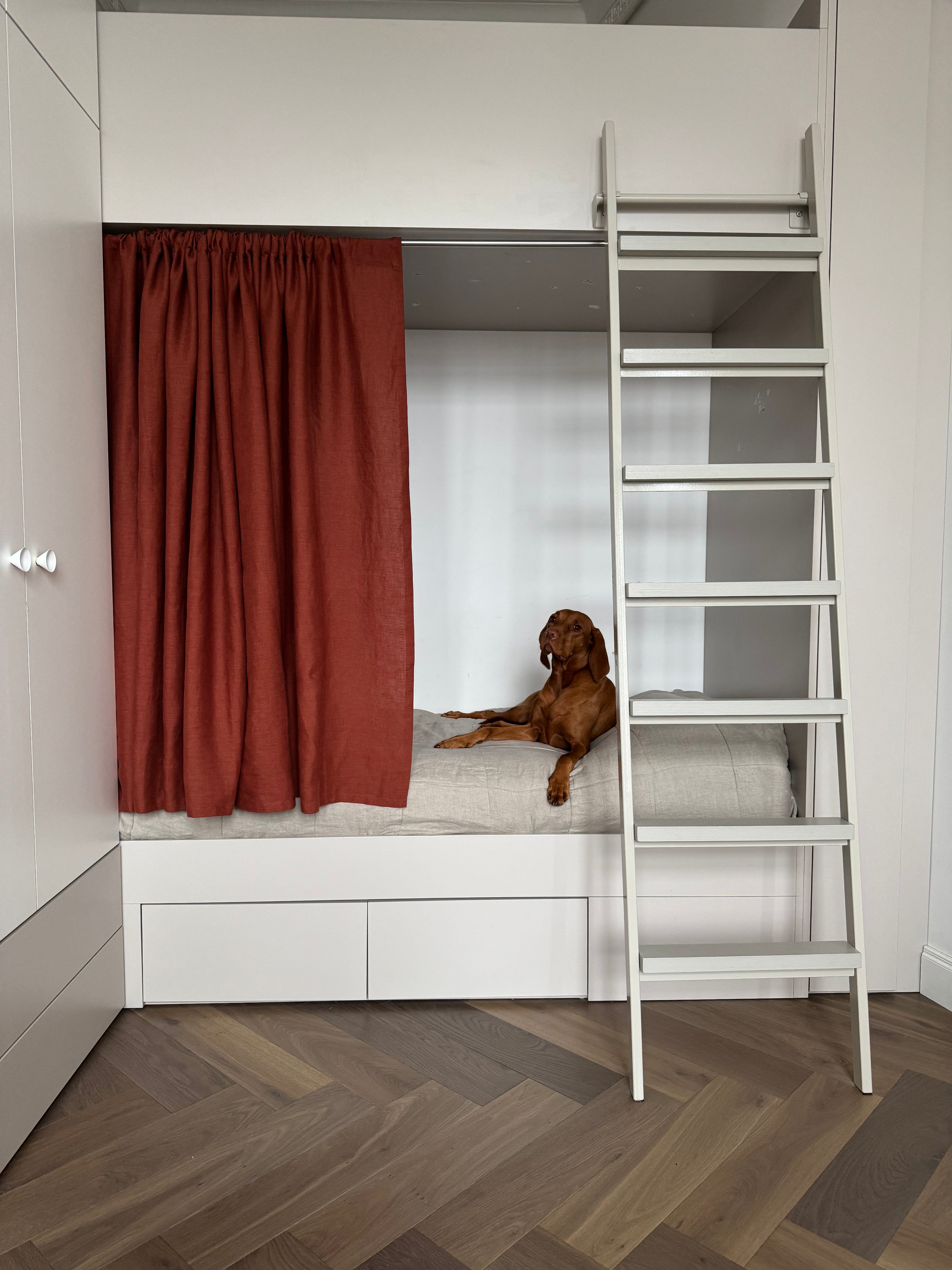 Dog lying on a bunk bed with a red curtain and a ladder in a room.