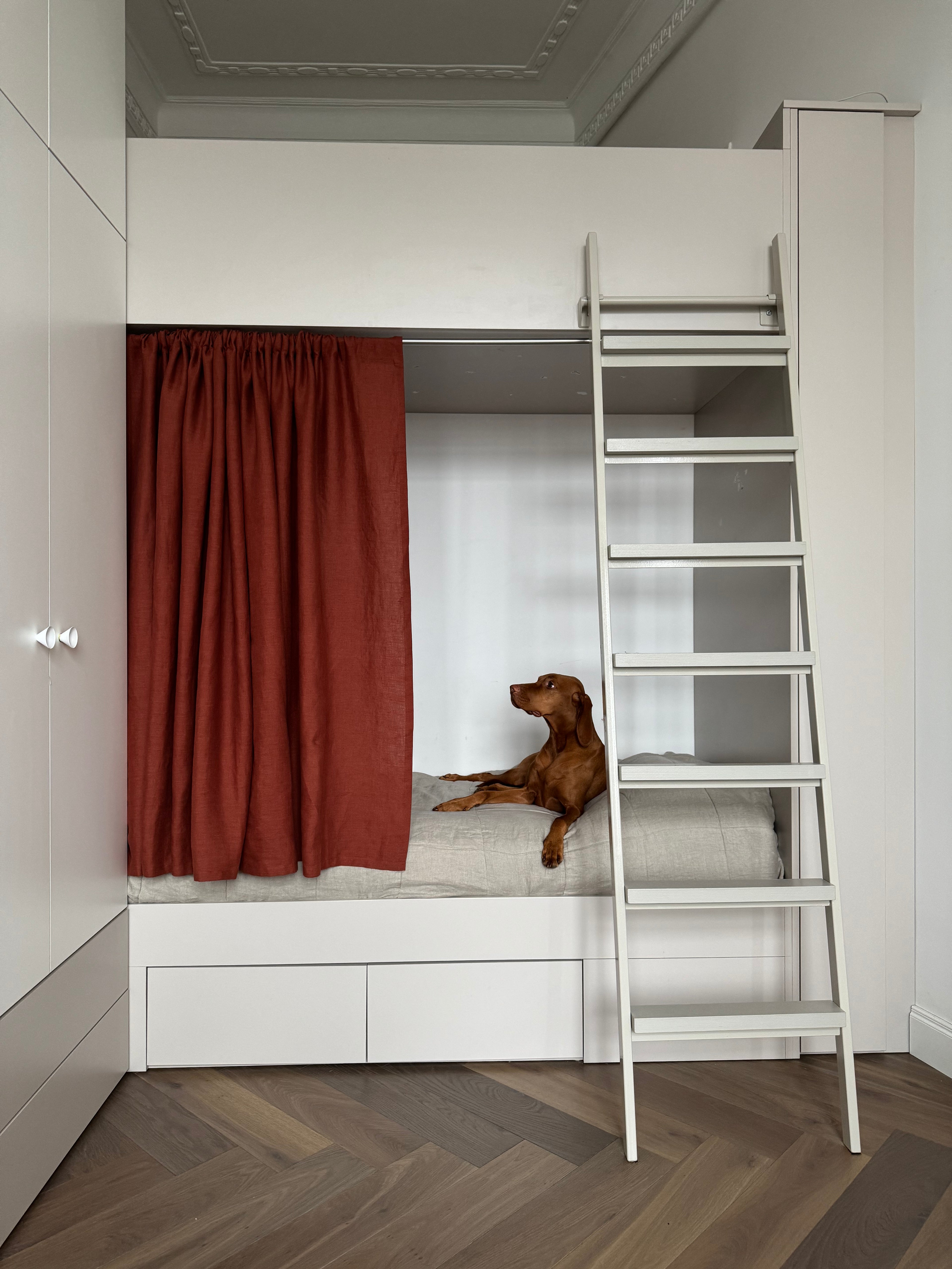 Dog lying on a bed with a red curtain and a white ladder in a room.