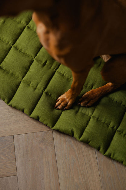 Cat walking on a green quilted mat with wooden floor underneath