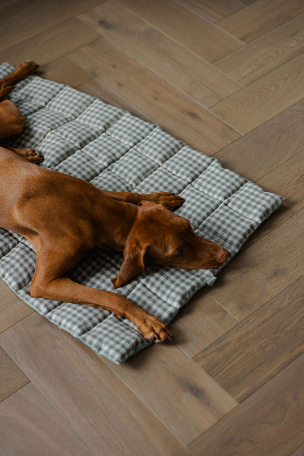portable dog mat