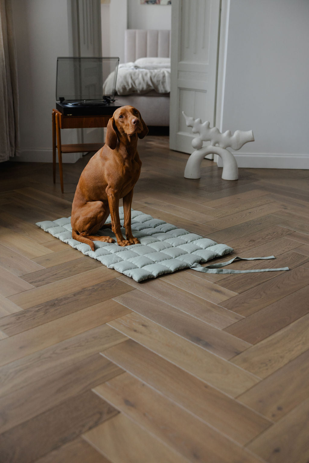 portable dog mat