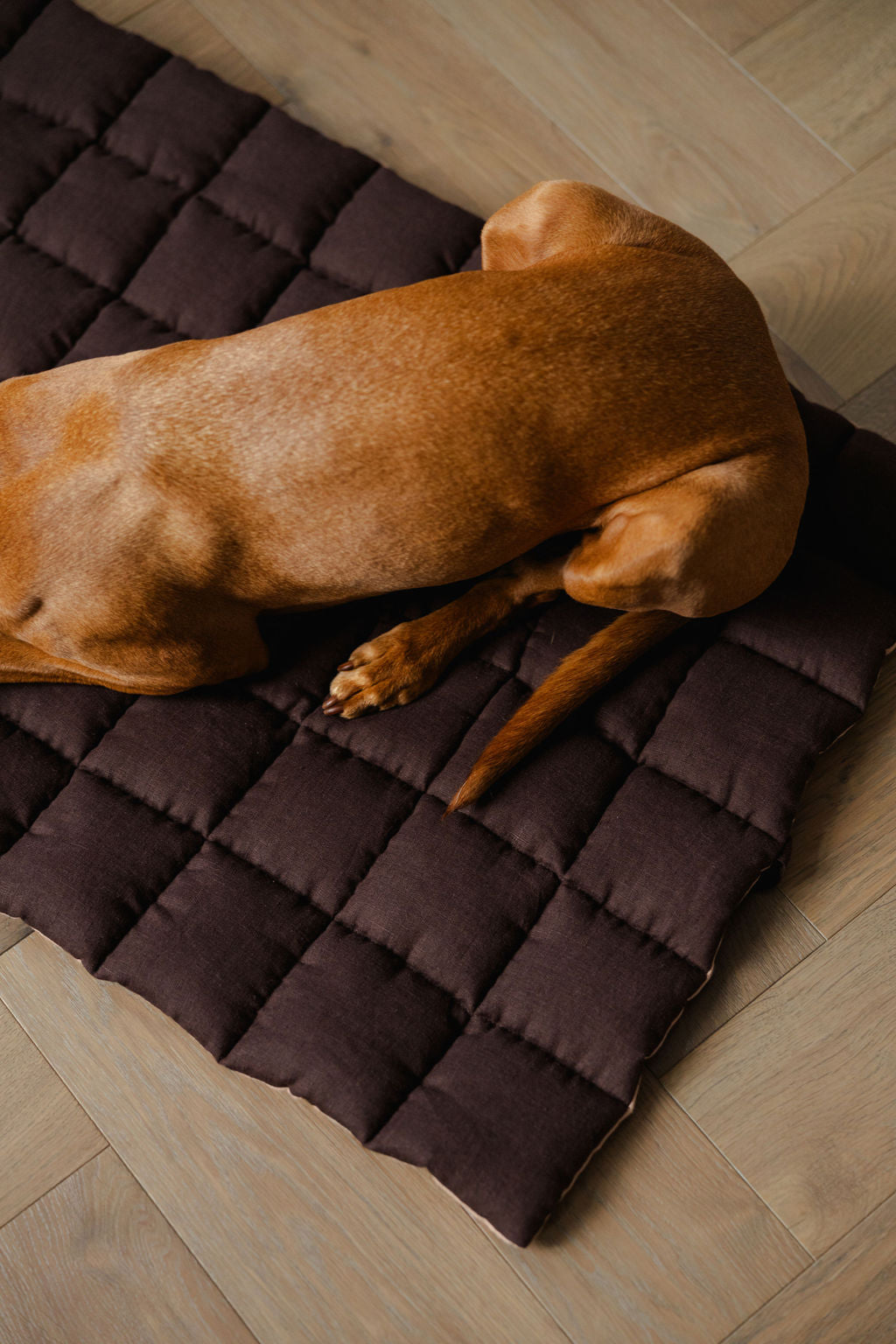 Brown dog lying on a brown quilted mat on a wooden floor