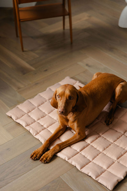 Brown dog lying on a pink quilted mat on a wooden floor.