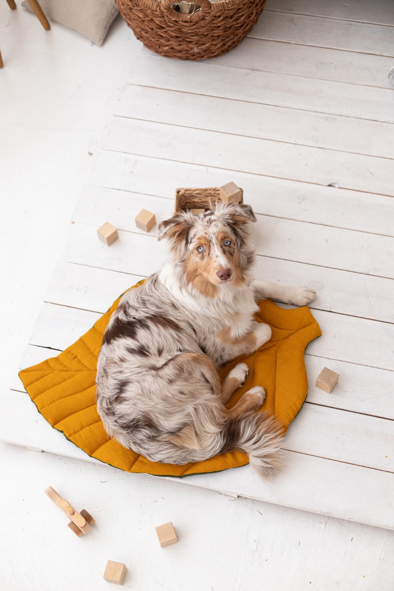 linen pet bed
