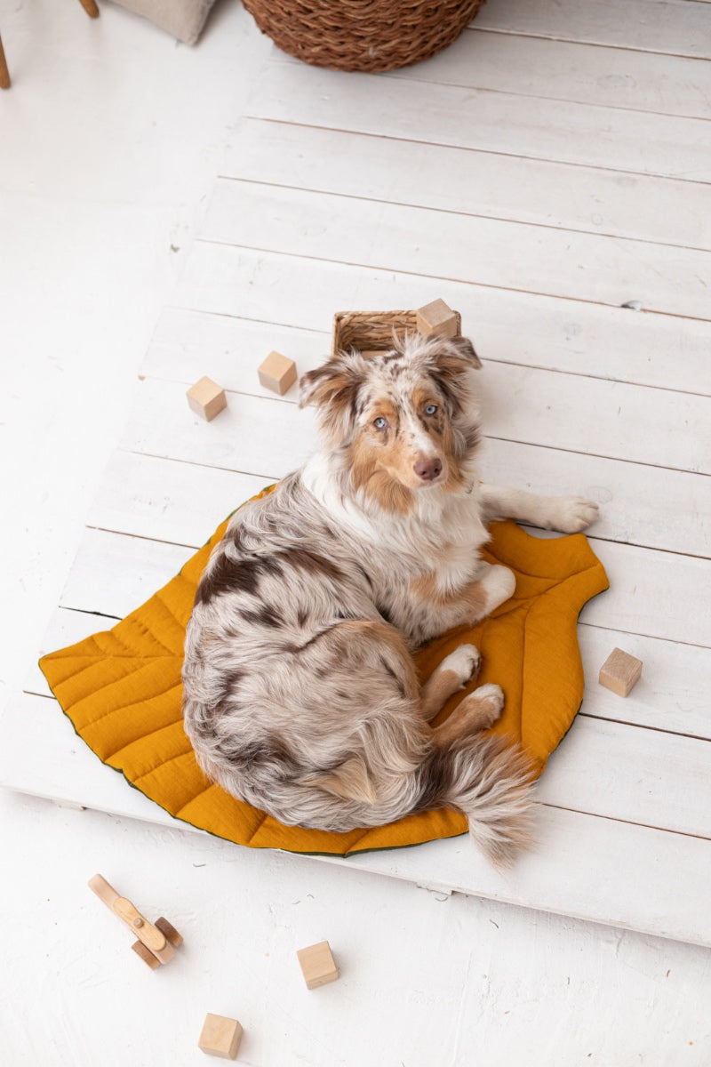 linen pet bed